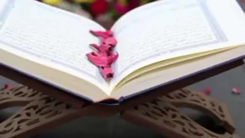 Jazakallah ♥️✨