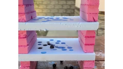 Blue Berries melting through styrofoam