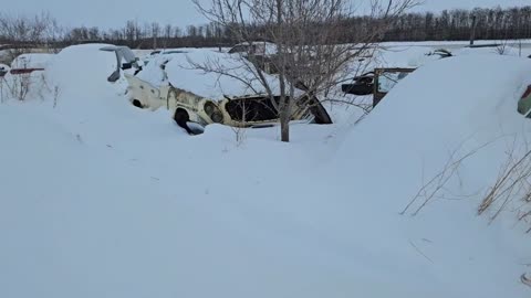 Junkyard Walk! Snowshoe Edition