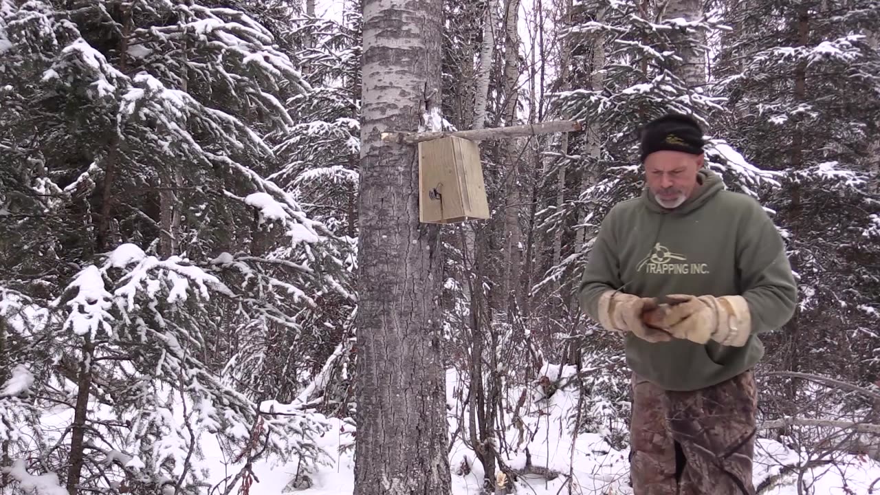 Trapping Inc Season 5 Episode 11 Marten and Fisher!