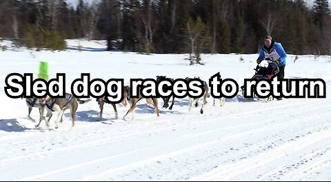 Sled dog races to return