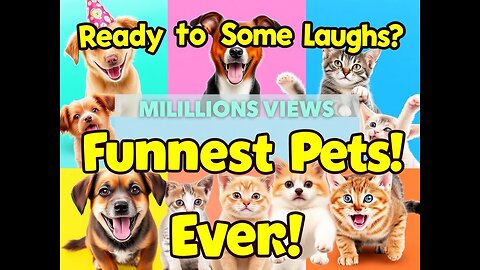 Ready for some laughs? This video features the funniest and most adorable pets you’ll ever see!