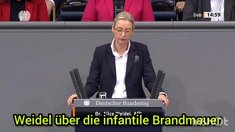 Alice Weidel über die infantile Brandmauer