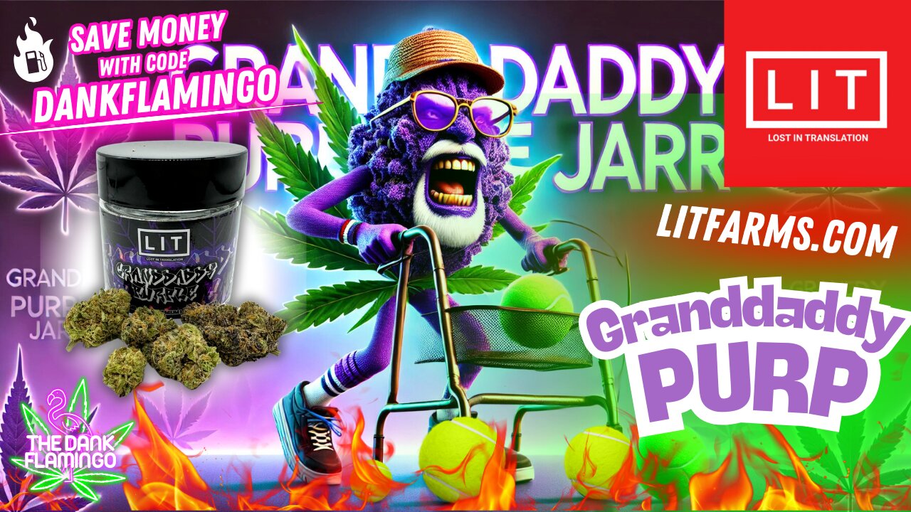 Reviewing the Granddaddy Purple Jar from Lit Farms! The Dank Flamingo Review!!