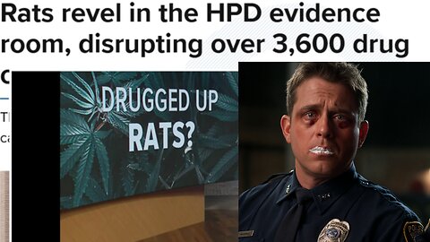 Rats revel in the HPD evidence room, disrupting over 3,600 drug cases