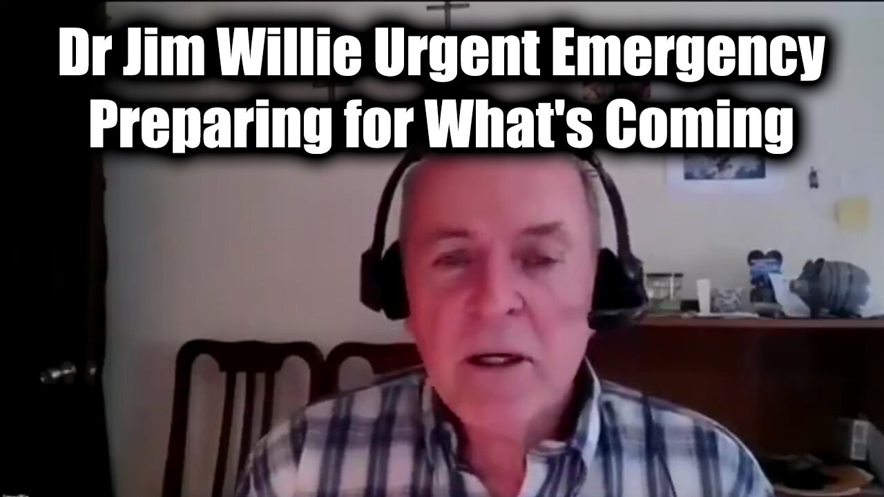 Dr Jim Willie Urgent Emergency: Preparing for What's Coming (Feb 2025)