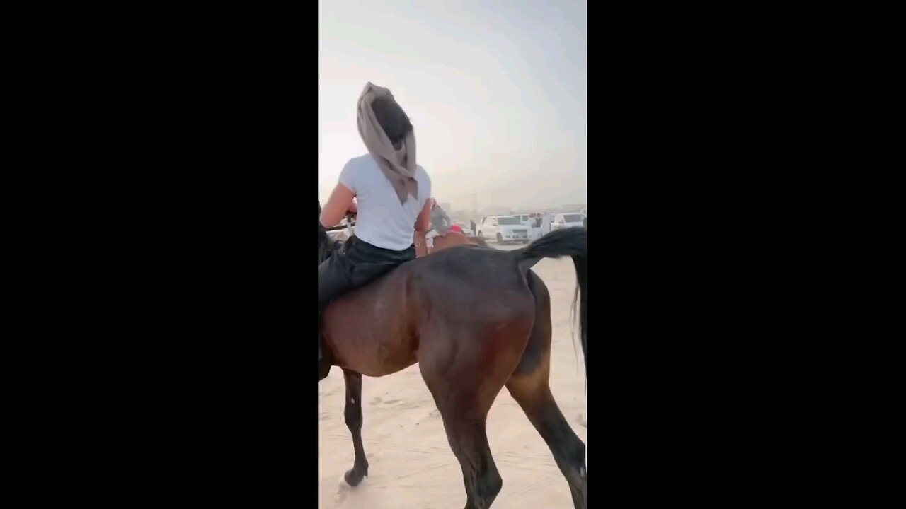 Horses Dance