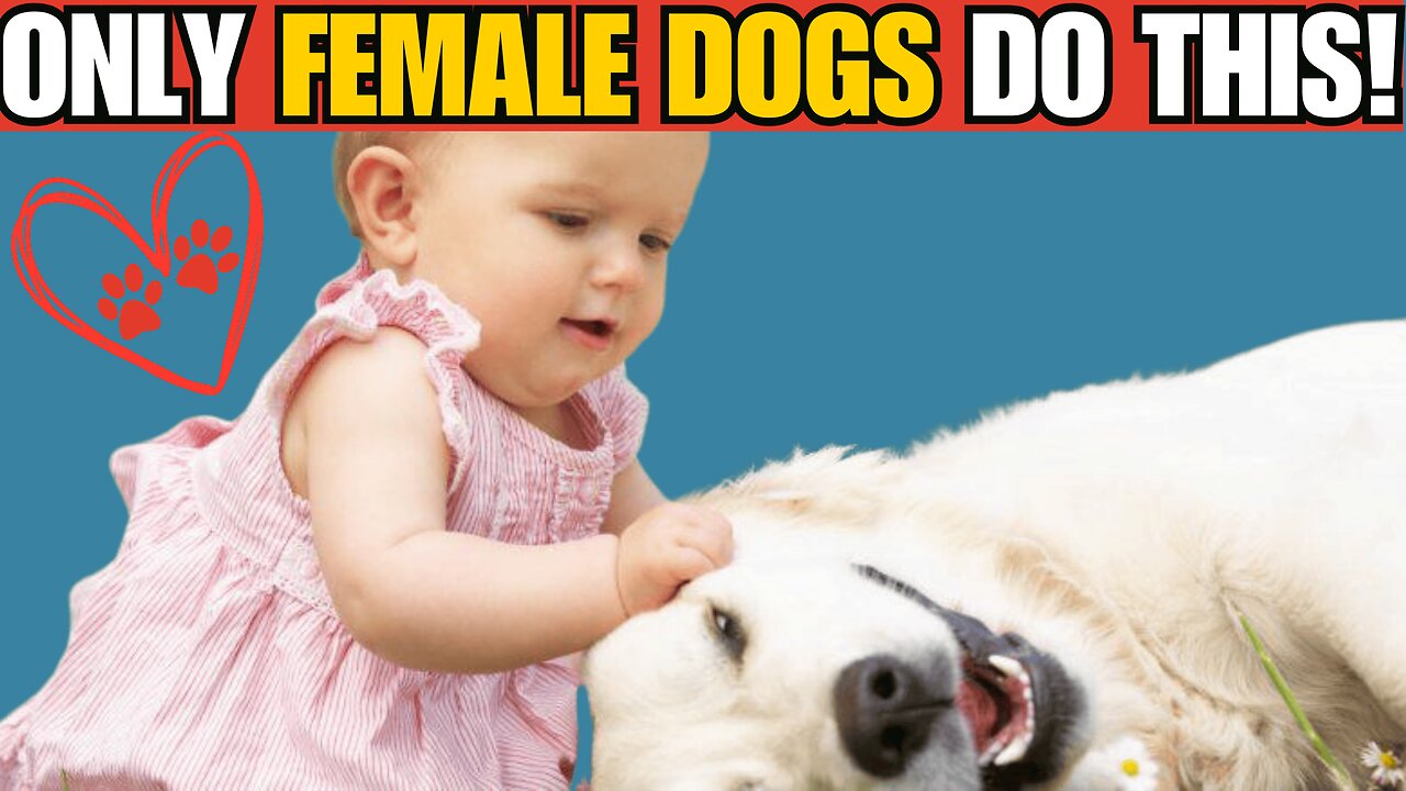 8 Surprising Female Dog SECRETS You Need To Know!
