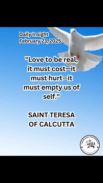 Daily Insight February 23, 2025