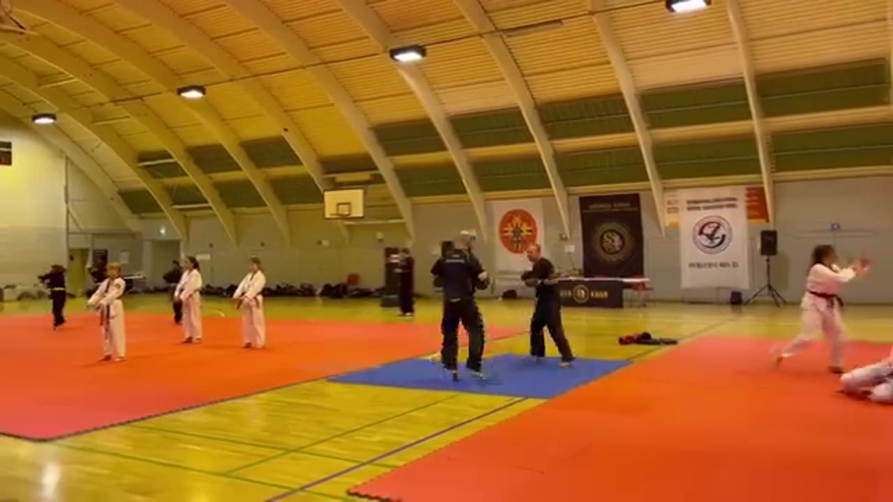Hapkido