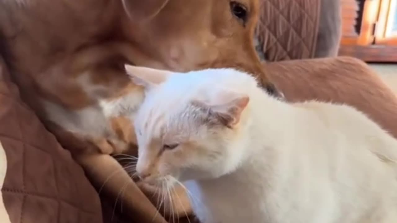 Friends helping each other out