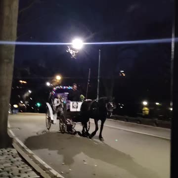 BAN horse-drawn carriages in 2025?