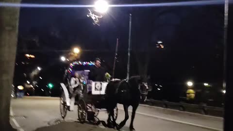 BAN horse-drawn carriages in 2025?