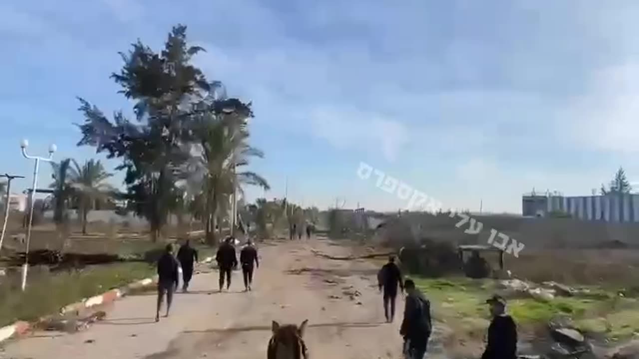 Gazans return to Beit Hanoun in the northern Gaza Strip.