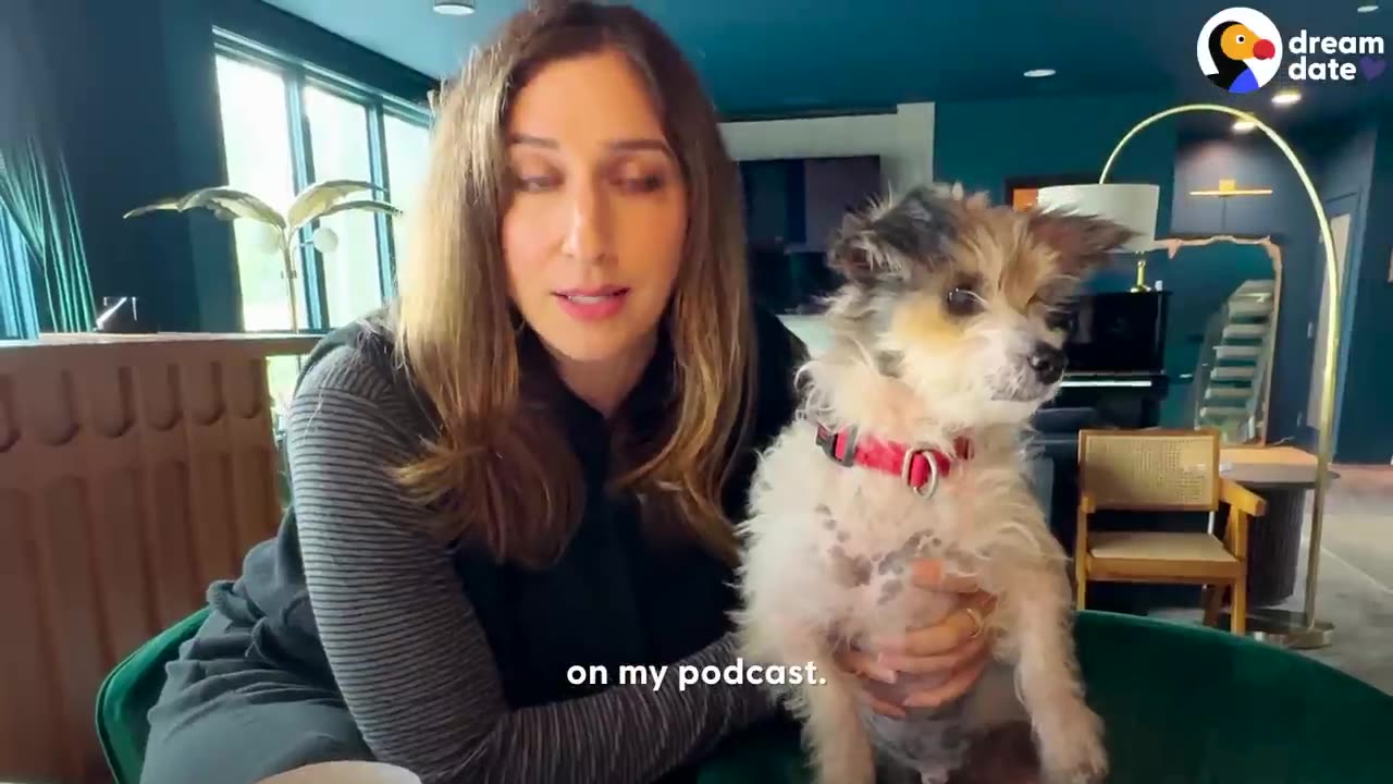 Tha cat is so very interesting and petty 🧐🤔😺