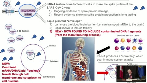 Presentation on the Harms of Covid-19 Vaccines | Dr Chris Shoemaker