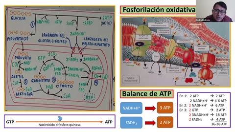 ADC SEMIANUAL 2023 | Semana 09 | Biología