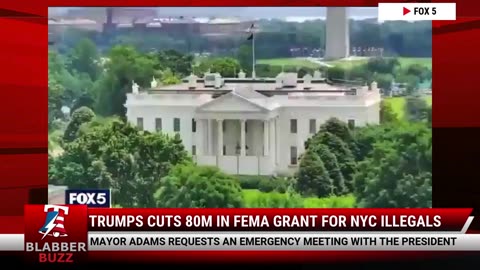 Trumps Cuts 80M In FEMA Grant For NYC Illegals