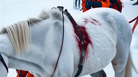 Incredible Rescue | Saving a White Horse in the Frozen Wilds!