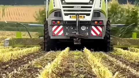 How to use Corn combined harvester tractor