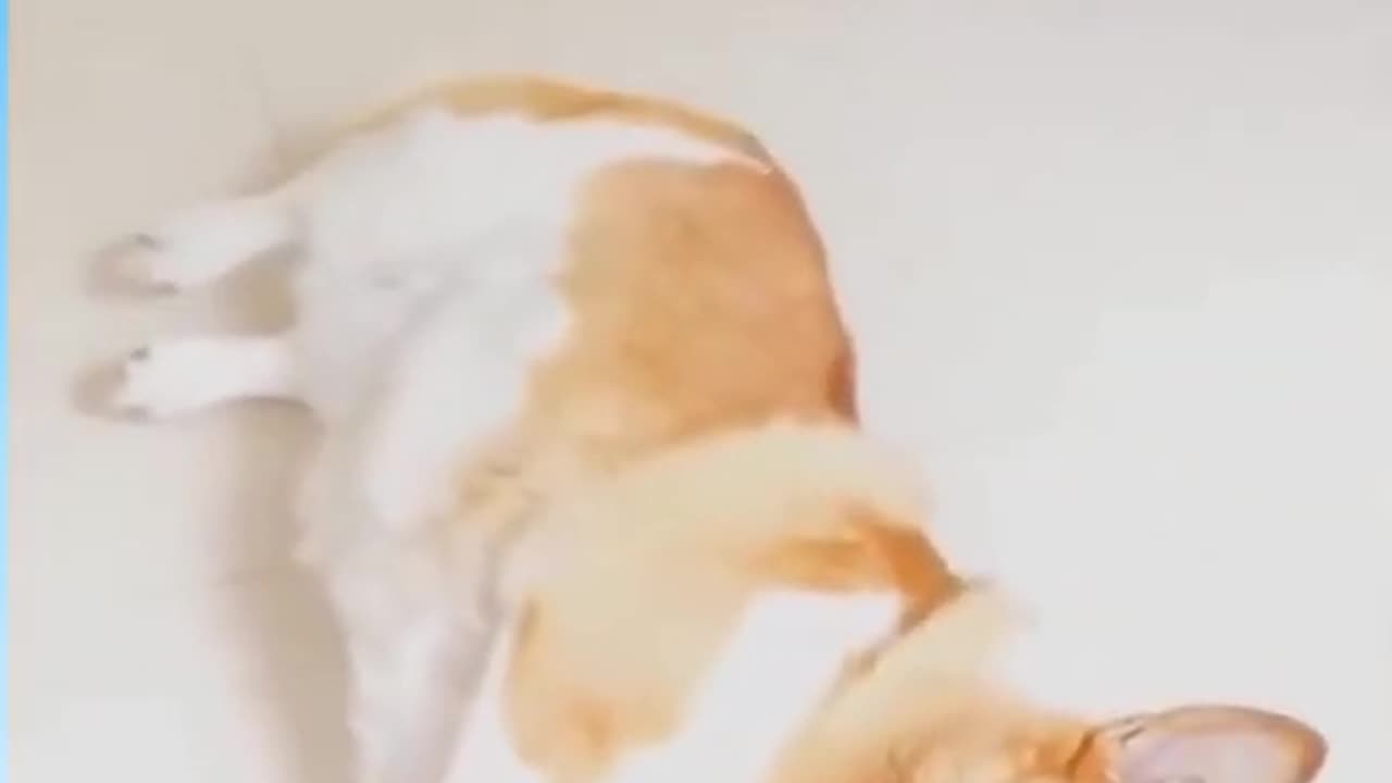 https://www.youtube.com/shorts/Y0HQP6OiOHk