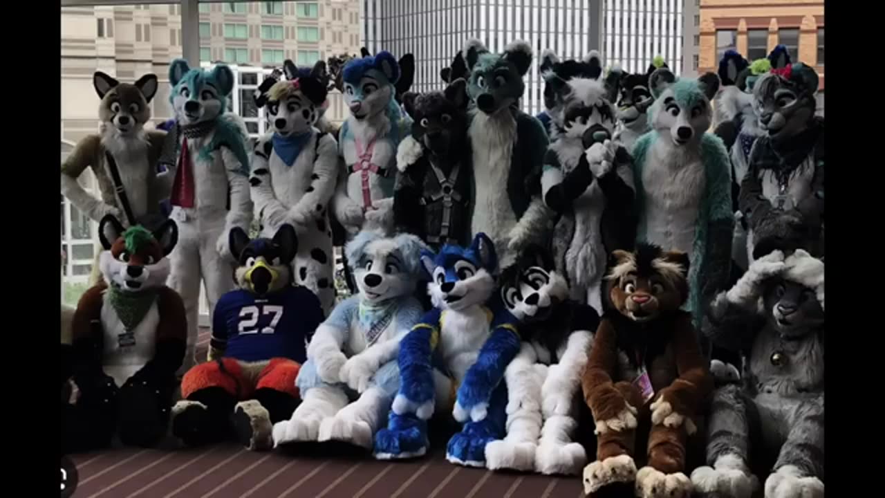 I'M A FURRY FAN!