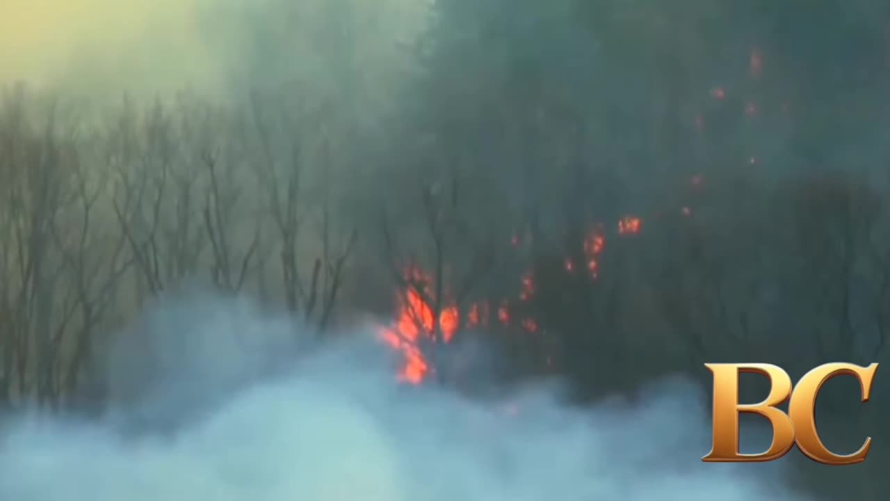 North Carolina under State of Emergency as wildfires grow
