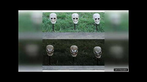 Skull Lighted Pathway Markers with Sound Set of 3 Review