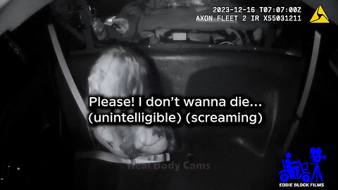 Chase and Cuffs: Multiple Offenses Caught on Camera