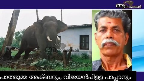 ആന പുറത്തിരിക്കുന്ന പാപ്പാനെ കുലുക്കി താഴെയിട്ടു കൊല്ലുന്ന അക്ബർ_ Elephant attack malayalam _ Sree 4
