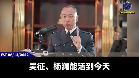 吴征、杨澜能活到今天，就是因为告诉习近平：我能伤害郭文贵，我能干倒爆料革命！国内的政治斗争，习100%完！吴征、杨澜、胡舒立都是上海帮要灭了习的人！结果习还要依靠吴征、杨澜、