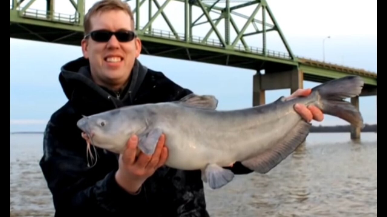 Monster Blue Catfish Trip!!!