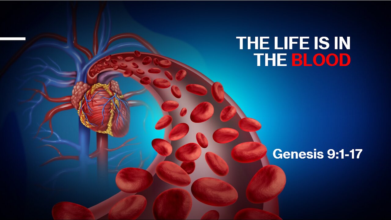 21st Episode: Genesis 9:1-17, What Does It Mean That "The Life Is In The Blood"