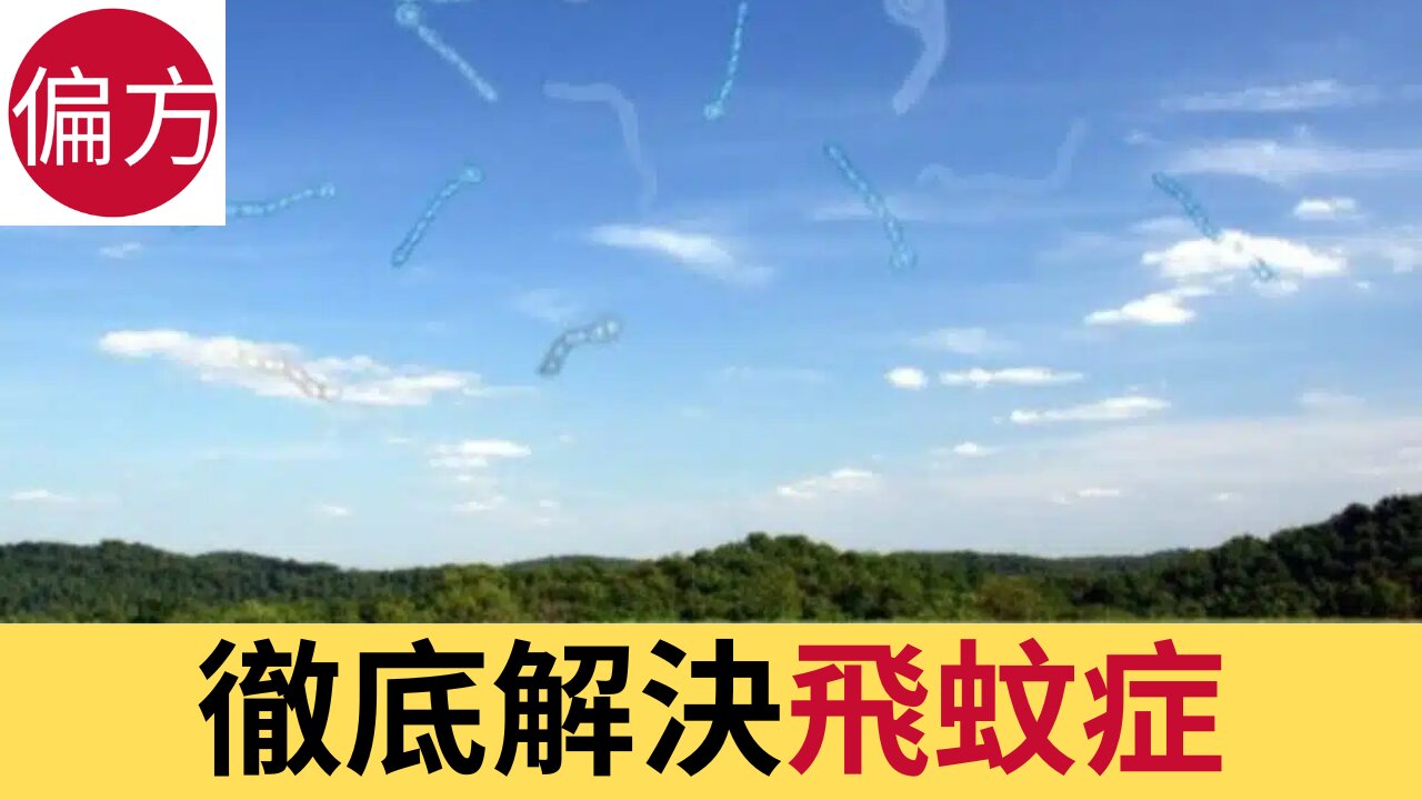 徹底解決飛蚊症