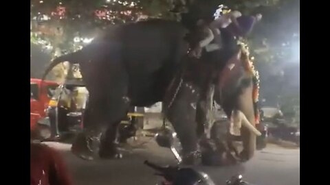 Elephant Used For Ceremony Outside Mosque Goes On A Rampage…Killing One & Seriously Injuring Another