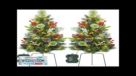 Hatisan Set of 2 30" Outdoor Pathway Christmas Trees Battery Operated Christmas Review