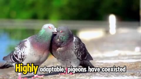 "Pigeons: Characteristics, Behavior, and Symbolism"