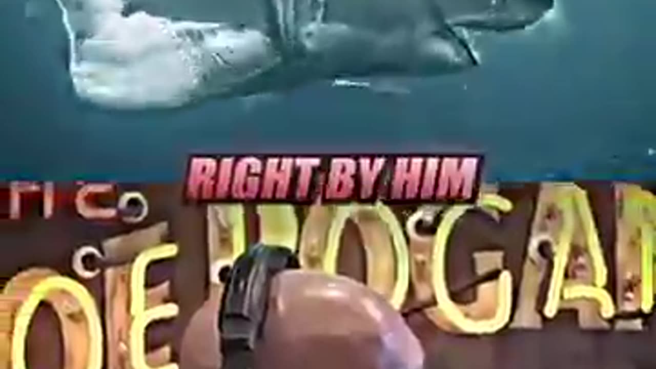 Joe Rogan AMAZED By Great White Shark 🦈