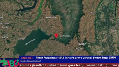 Oduu Ganama ONM-ABO Muddee 25-2024 itti dhiyaadhaa!