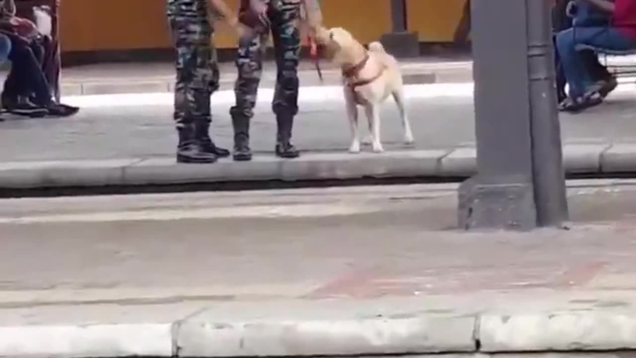 They gave him 30 seconds of freedom