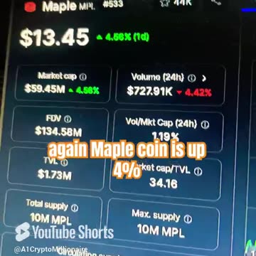 maple mpl price prediction crypto market bull run! #fyp