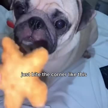 “You can take a small bite”