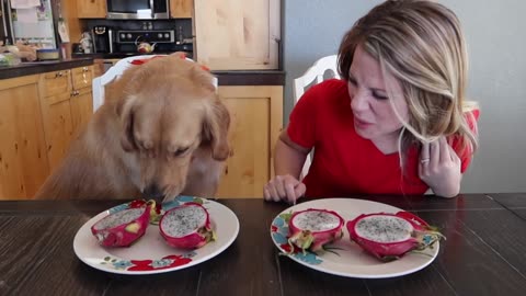 who-eats-it-faster-my-dog-or-me-food-eating-contest