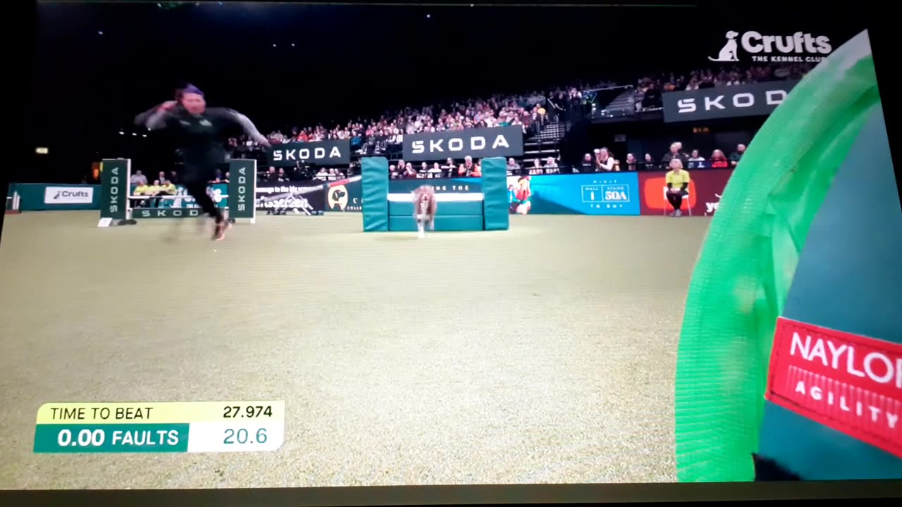 Crufts Dog Show 2025. Agility; (Also 2011 German Shepherd dog WINS!)