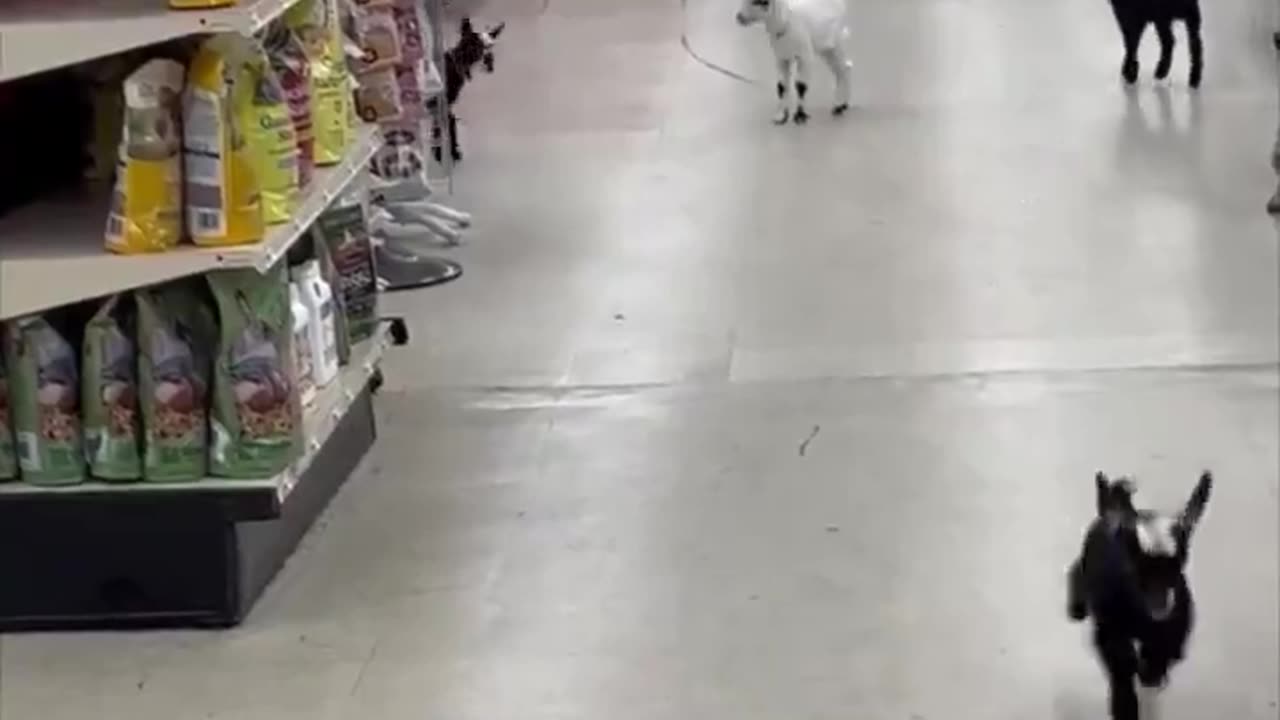 Jump-kickstart.. 😅