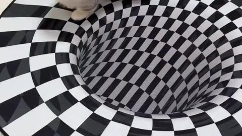 A funny cat thinks there is a deep hole in the floor