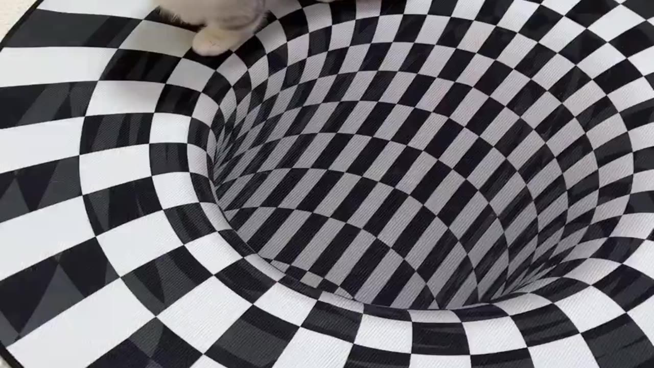 A funny cat thinks there is a deep hole in the floor