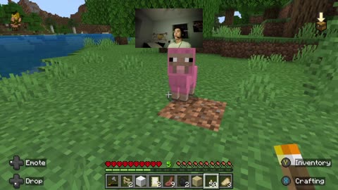 I Found a NATURAL Baby Pink Sheep in Minecraft!