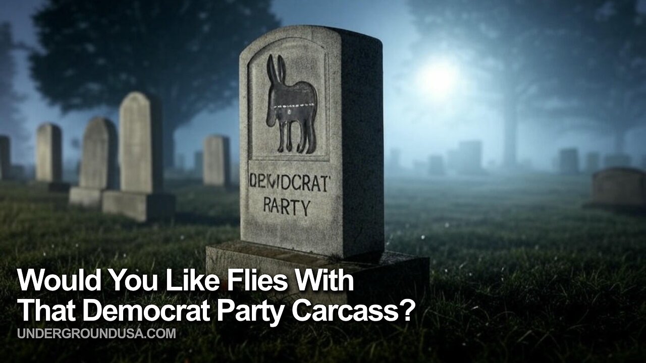 Would You Like Flies With That Democrat Party Carcass?