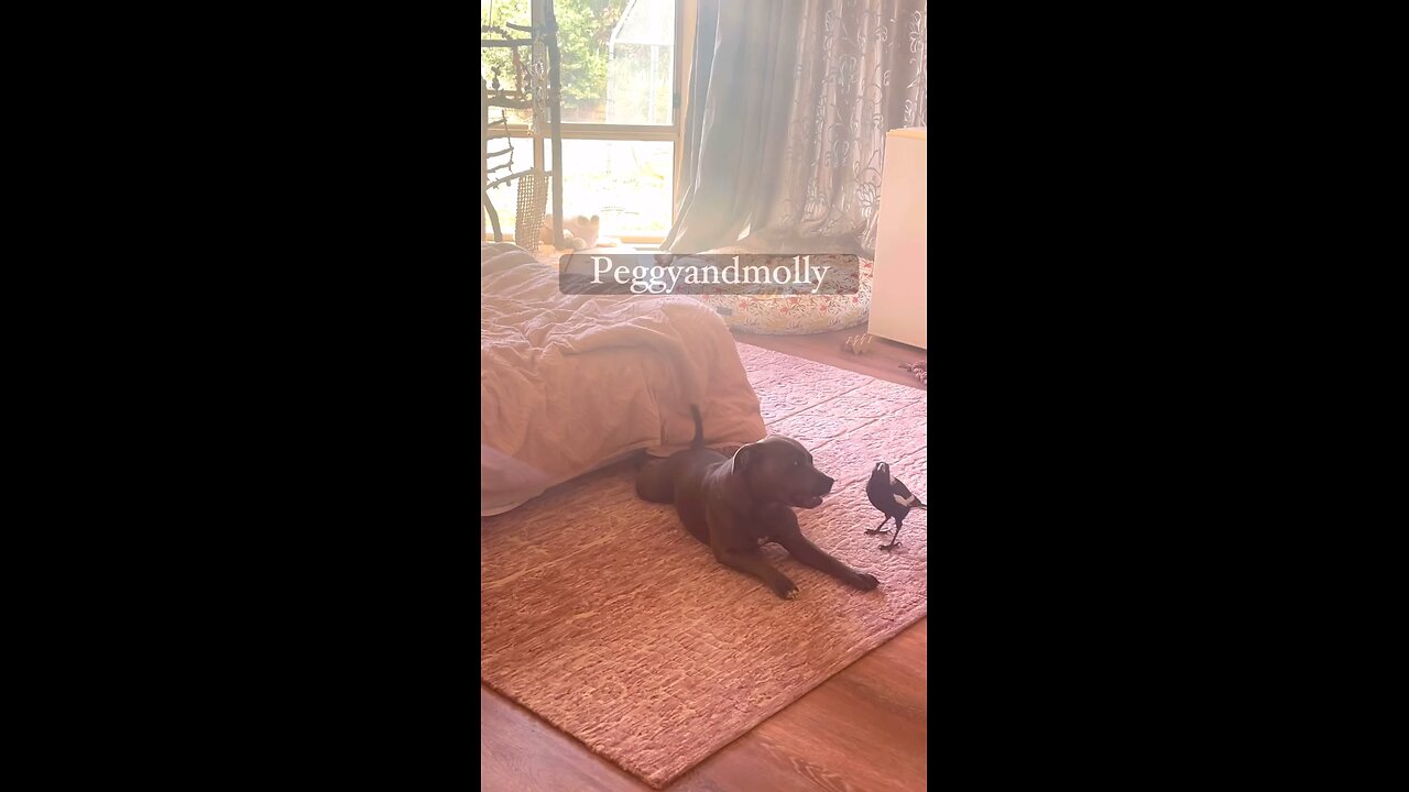 Peggy And Molly
